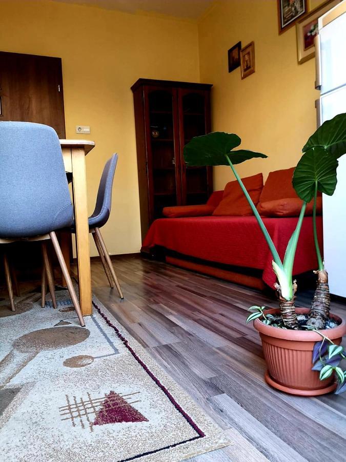 Villa Casa Ioana Braşov Quarto foto